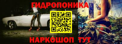 эйфоретик Кингисепп