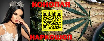 эйфоретик Кингисепп