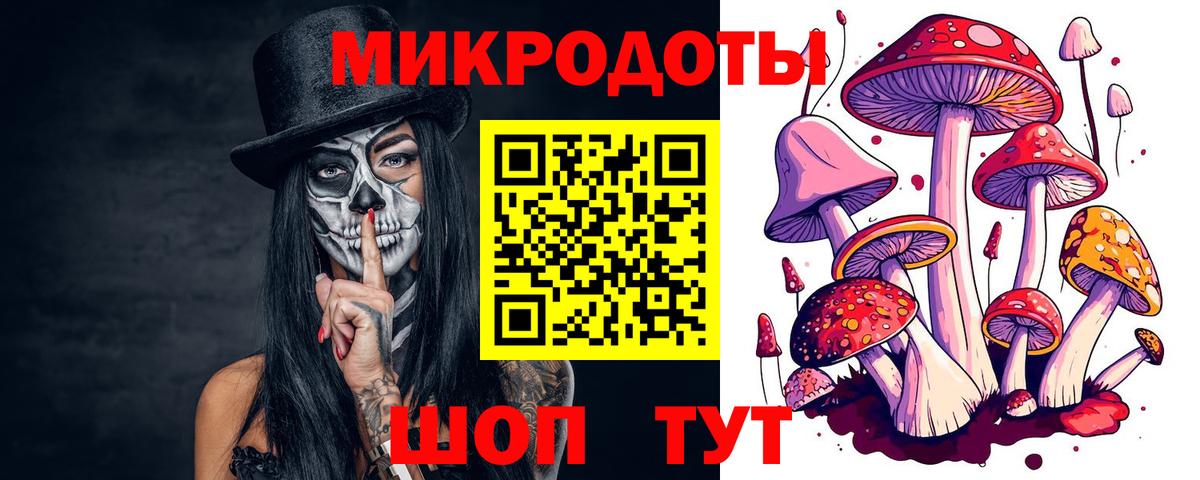 Зима  Галлюциногенные грибы прущие грибы  Вход с VPN 